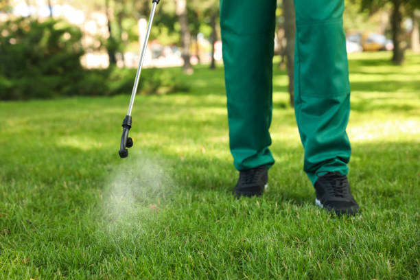 Best Insect Control  in North Catasauqua, PA
