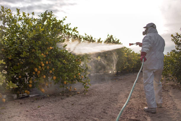 Best Local Pest Control Services  in North Catasauqua, PA