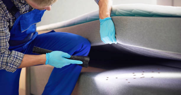 Best Exterminator Services  in North Catasauqua, PA